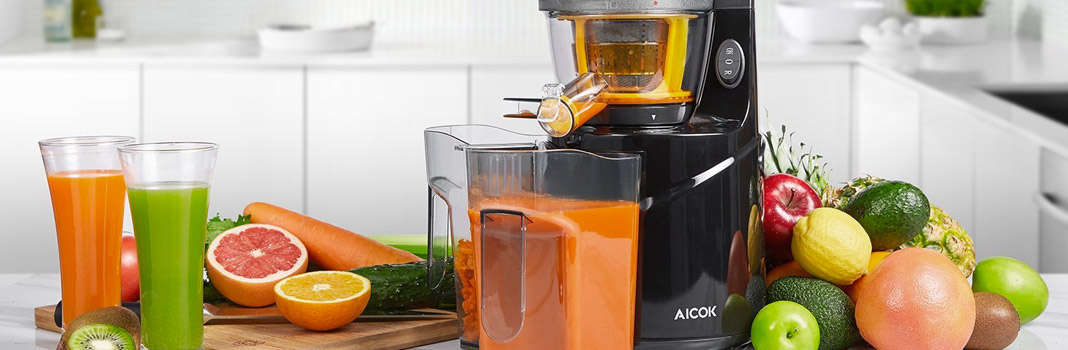 Extracteur de jus de fruits et légumes 2 vitesses Slow juicer 500W