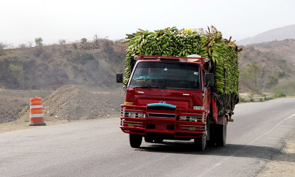 transport bananes