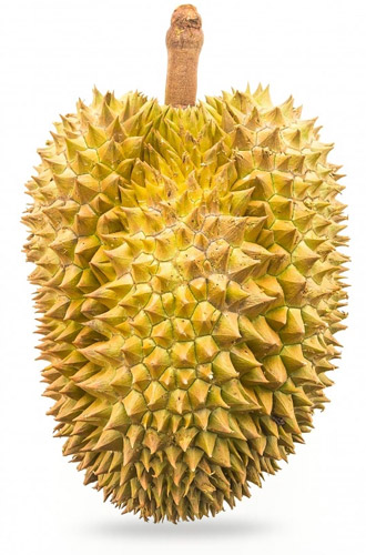 Durian : le fruit exotique qui pue - Tout savoir en 2 minutes