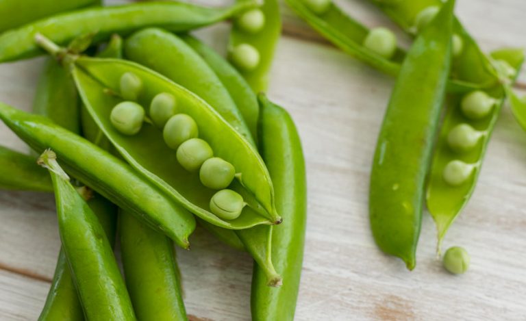 ≡ Que faire avec des Cosses de Petits Pois ? Nos Idées Recettes