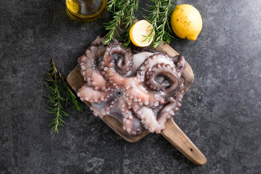 ≡ Tout savoir pour Cuisiner et Cuire le Poulpe + 4 Recettes