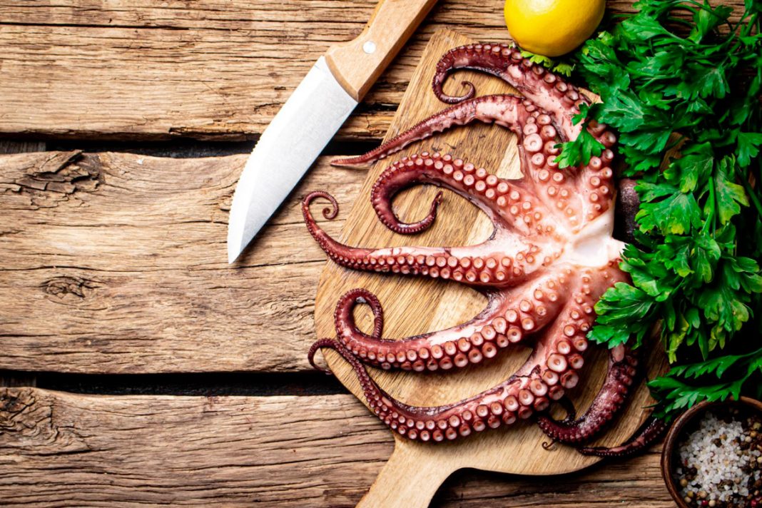 ≡ Tout savoir pour Cuisiner et Cuire le Poulpe + 4 Recettes