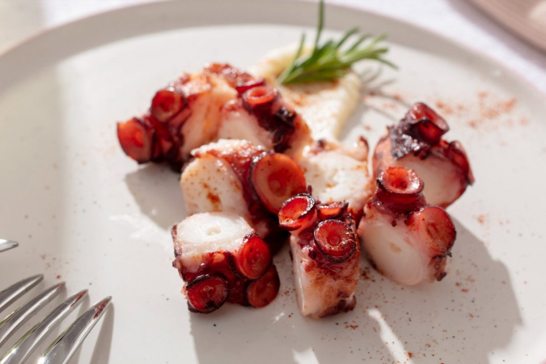 ≡ Tout savoir pour Cuisiner et Cuire le Poulpe + 4 Recettes