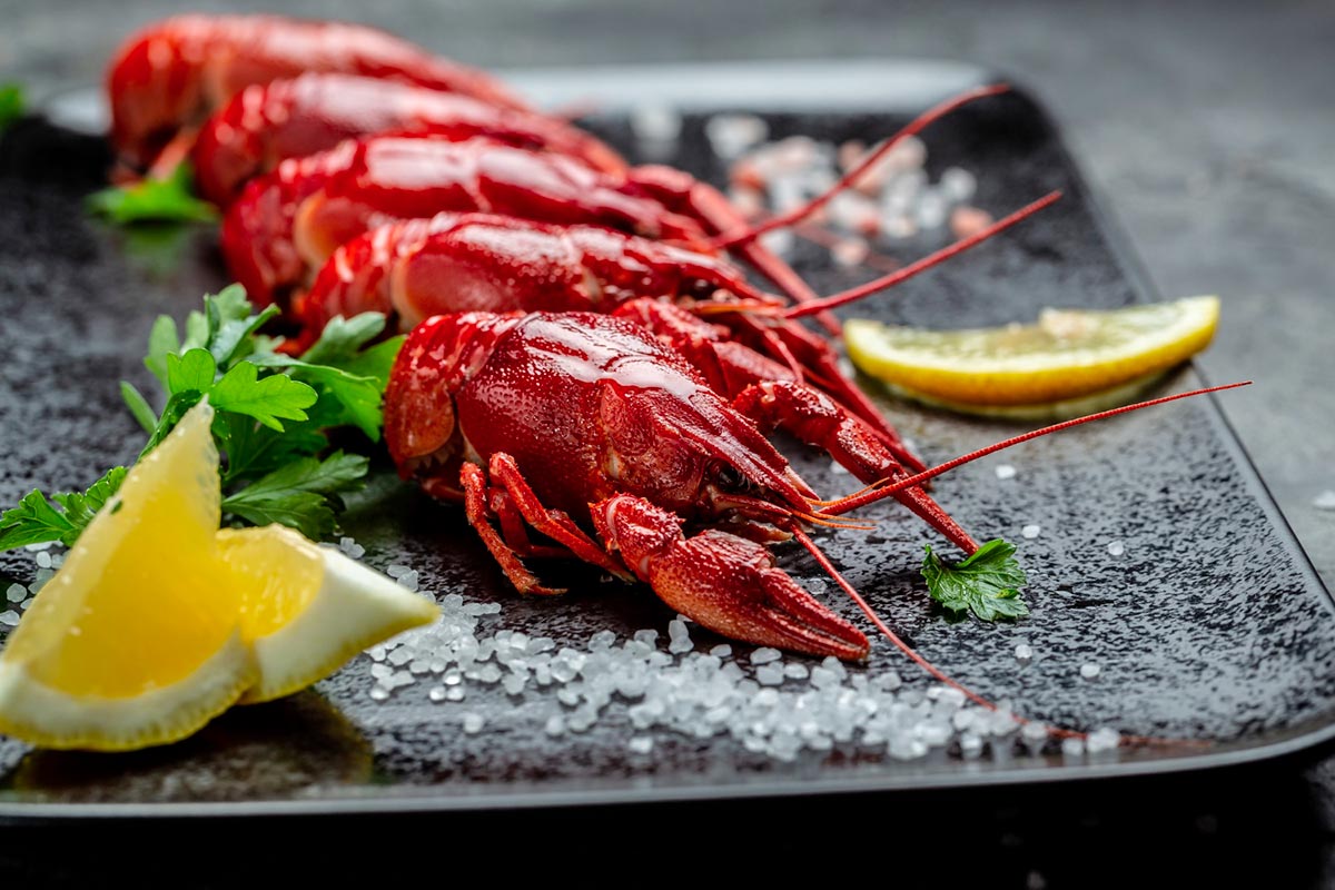 ≡ Écrevisses Américaines, de Ruisseau, Nettoyage et Idées Recette