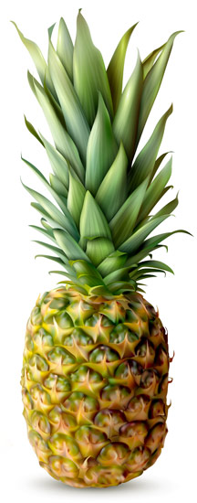 ananas