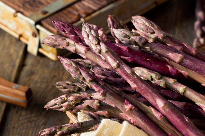 asperges violettes