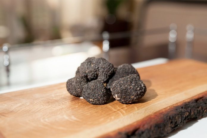 des truffes noires