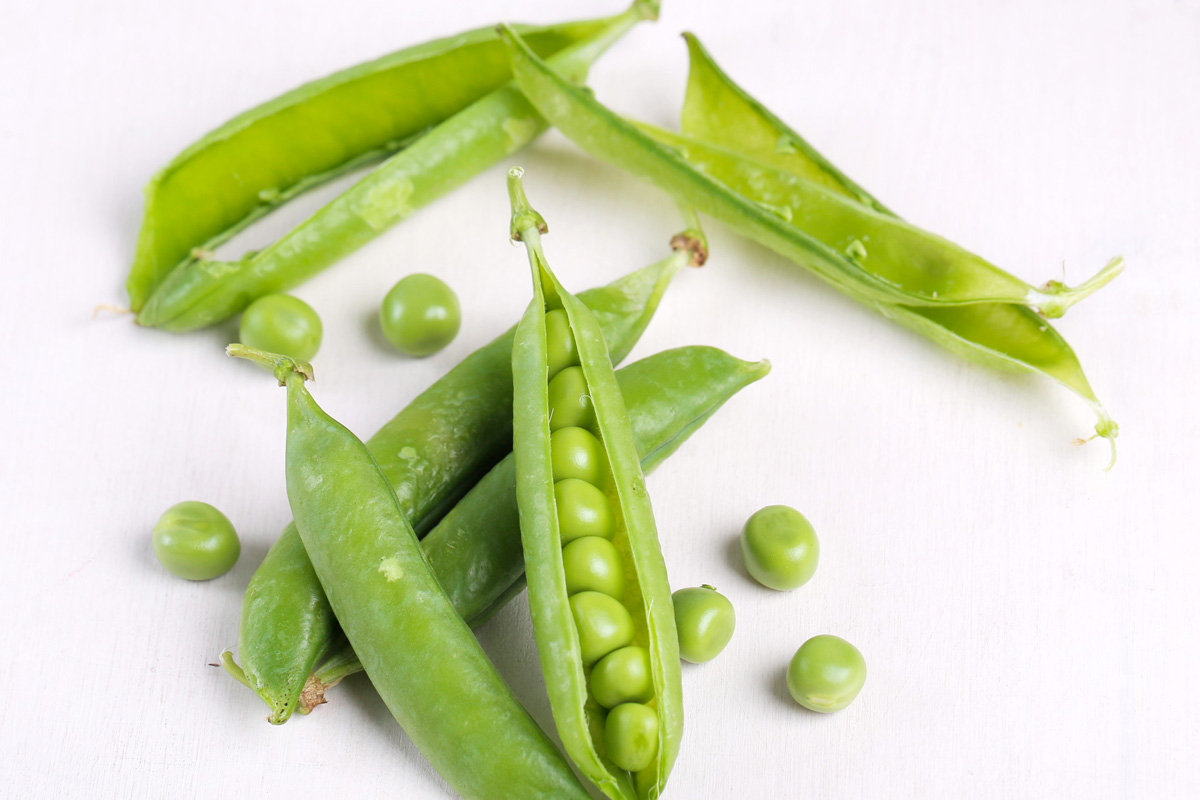 haricots verts ouverts