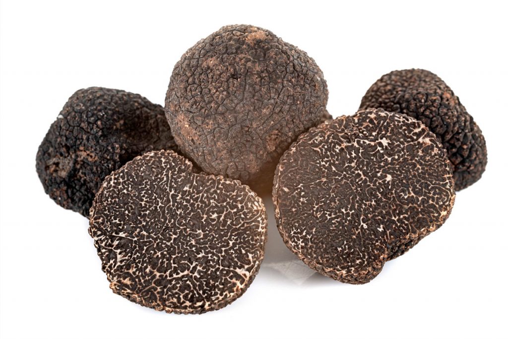 ≡ Comment Conserver des Truffes Fraîches ? Quatre Méthodes