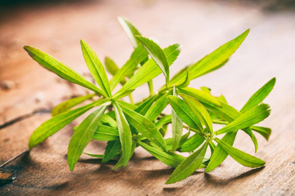 ≡ L'Armoise (Artemisia) Bienfaits, Vertus et Utilisation en Cuisine