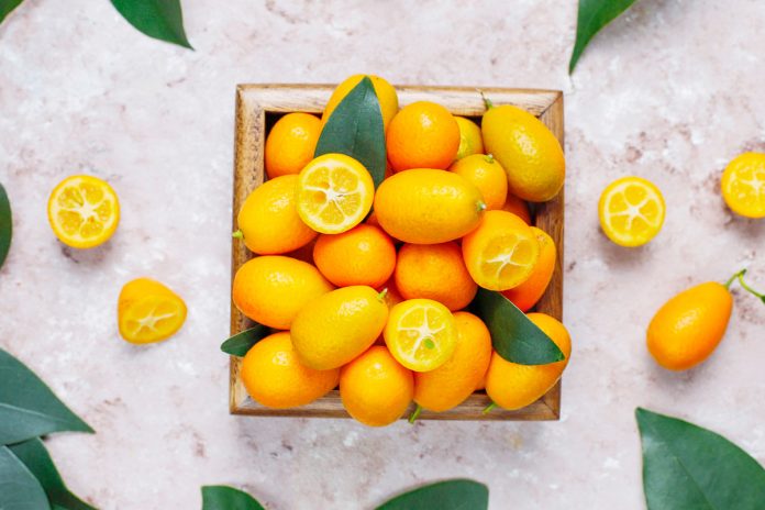 panier kumquats