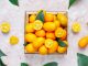 panier kumquats