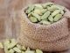 cardamome