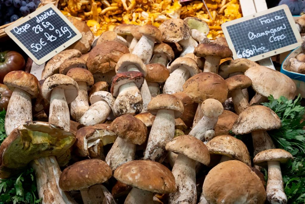 Comment Congeler des Cèpes ? Crus, Cuits tous Nos Conseils
