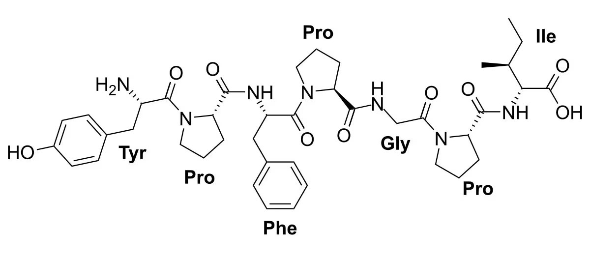 casomorphine